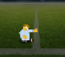 A Small World Cup